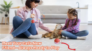 Jouets interactifs pour chiens/chats Pas Cher a vendre sur internet – Livraison Gratuite en France a Domicile