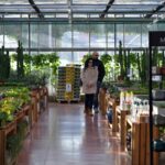 Leroy Merlin France meilleures ventes, produits populaires et bons plans